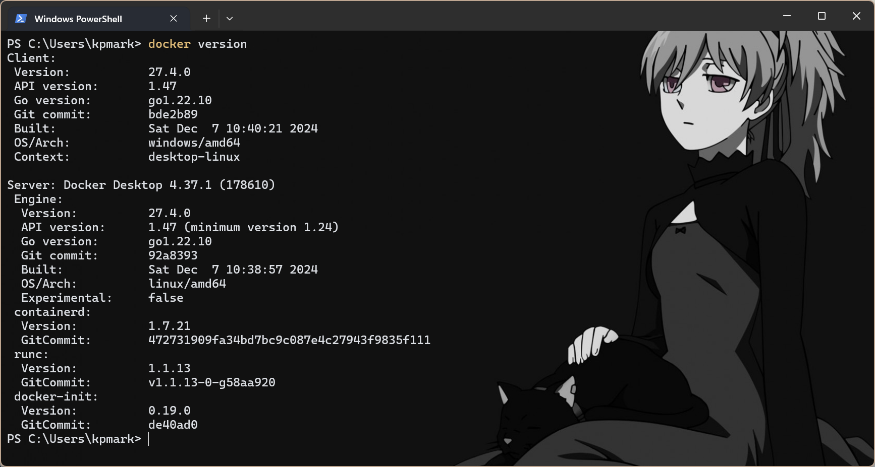 image-20250203190448517